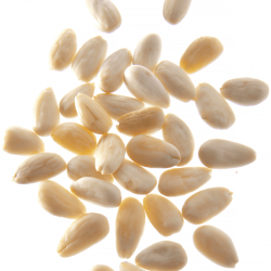 Amandes blanches - Boîte traiteur 1 kg
