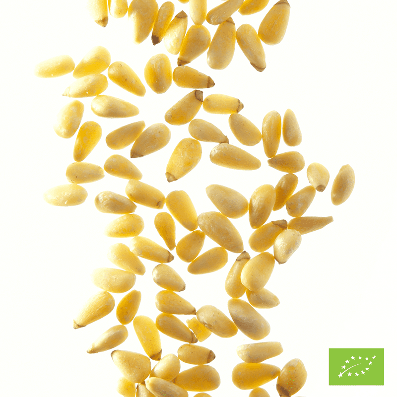 Pignon de pin Bio* - Boîte traiteur 1 kg