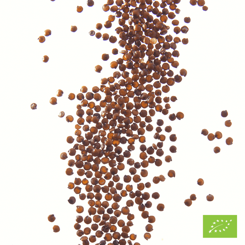 Graines de quinoa rouge Bio* - Boîte traiteur 1 kg