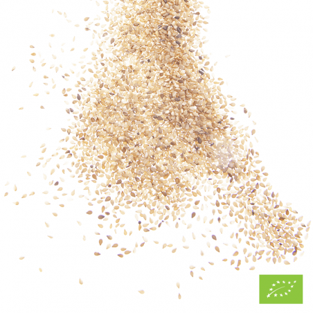 Graines de sésame décortiquées Bio* - Boîte traiteur 1 kg