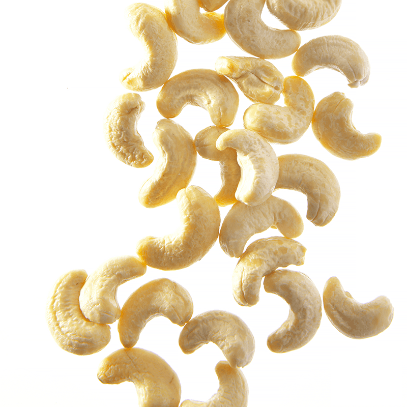 Noix de cajou crues - Boîte traiteur 1 kg