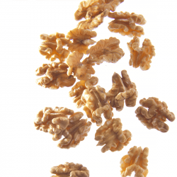 Demi Cerneaux de noix extra franquette Périgord - Boîte traiteur 500g