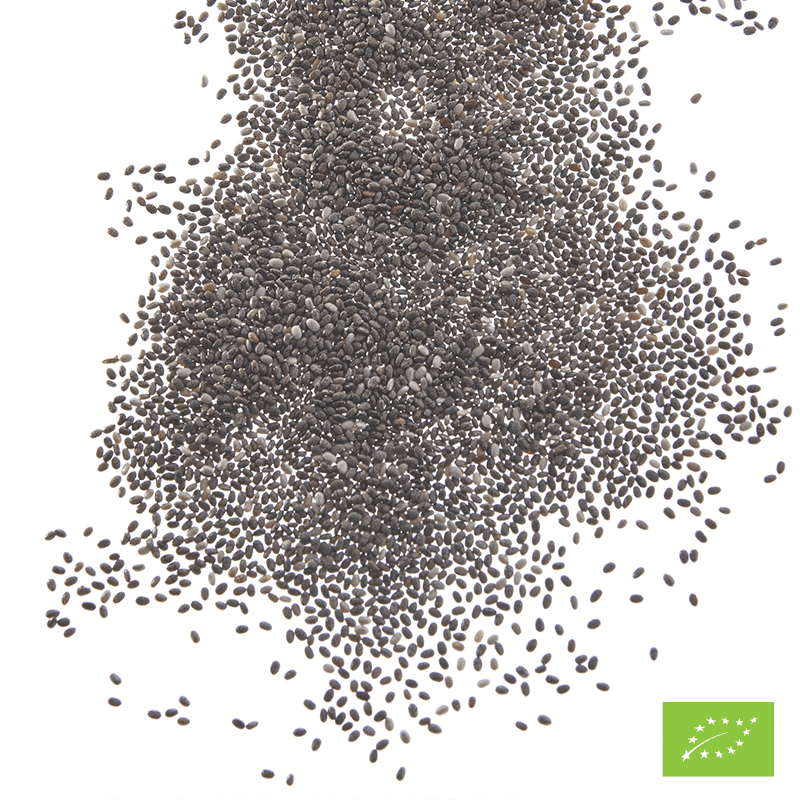 Graines de chia Bio* - Boîte traiteur 1 kg