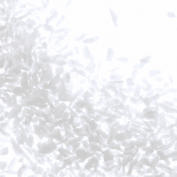 Noix de coco râpée - Boîte traiteur 750 g