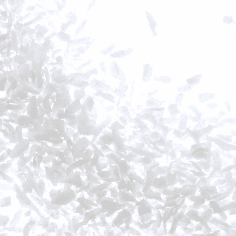 Noix de coco râpée - Boîte traiteur 750 g