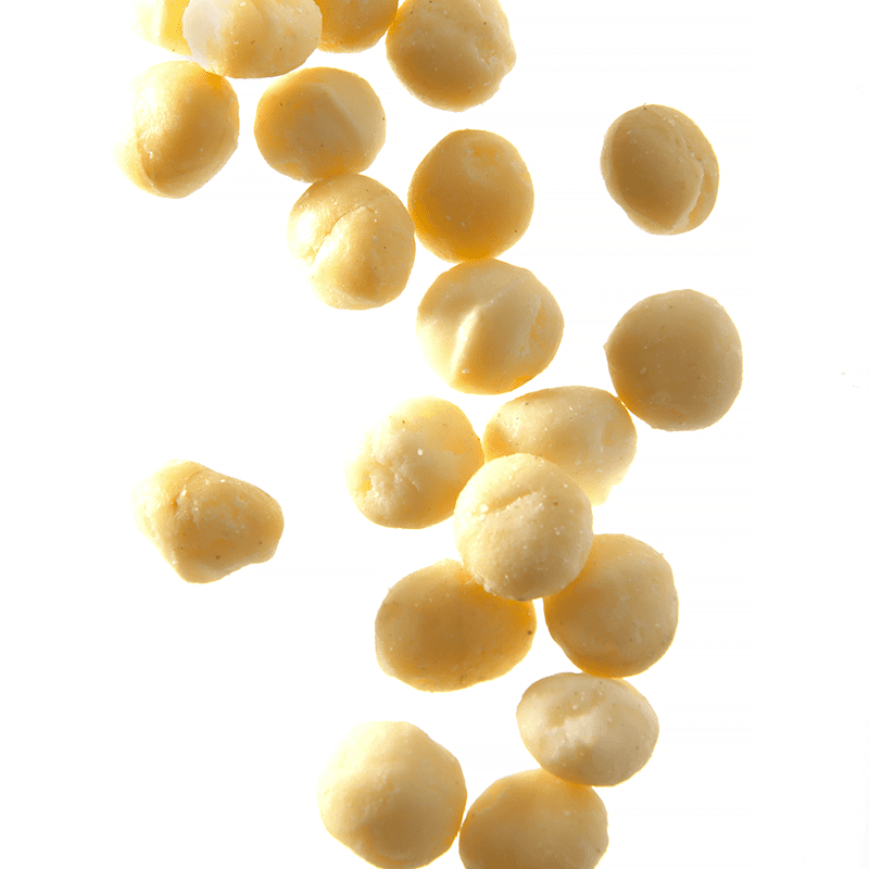 Noix de macadamia - Boîte traiteur 1 kg