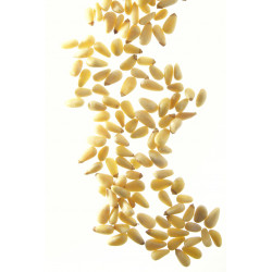 Pignon de pin - Boîte traiteur 1 kg