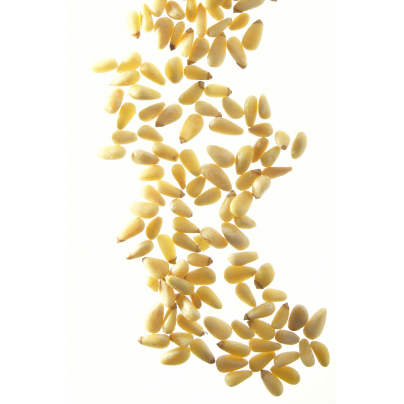 Pignon de pin - Boîte traiteur 1 kg