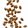 Amandes torréfiées Zaatar - barquette de 150g
